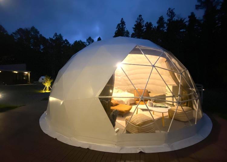 Stargazing the Night Away