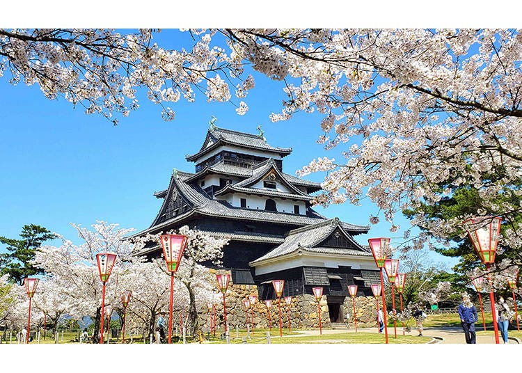 1.Explore Majestic Matsue Castle