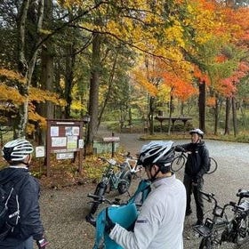 Exploring the nature and sightseeing spots of Karuizawa: Forest bathing cycling
Details & Bookings ▶
(Image: Viator)