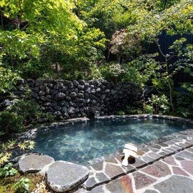 Bessho Onsen Midoriya (Bessho Onsen Area)
