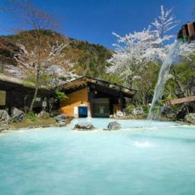 Awanoyu Ryokan (Greater Matsumoto Area)