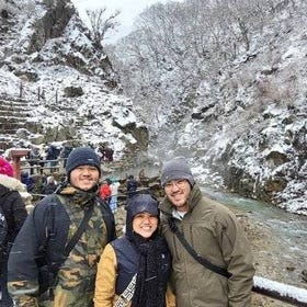 Explore Jigokudani Snow Monkey Park with a Knowledgeable Local Guide
Details & Bookings ▶
(Image: Viator)
