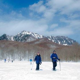 Nagano Snowshoe Hiking Tour
Details & Bookings ▶
(Image: Viator)