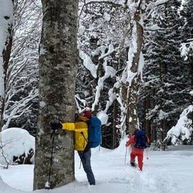 EN/CN Guided Snowshoeing and Snow Monkey Tour in Nagano
Details & Bookings ▶
(Image: Viator)