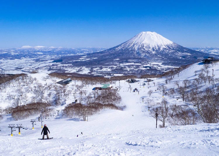 Slopes in Niseko (Photo: PIXTA)