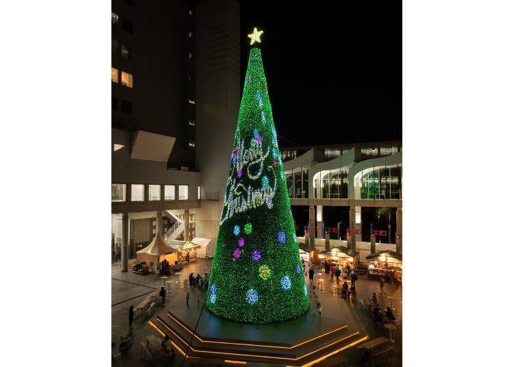 LED Mapping Tree (from 2023)