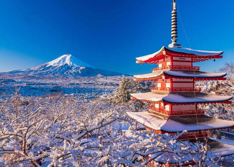 Visiting Japan in January - The Best Things to Do and Reasons to Visit