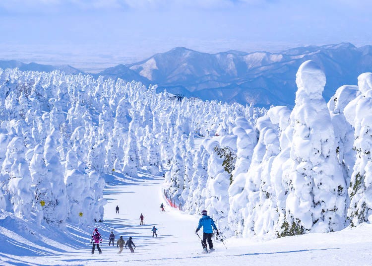 January is one of the best times of year for skiing in Japan (Image: PIXTA)
