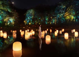 日本「teamLab：幽谷隱田跡」到茨城探索自然與藝術的結合