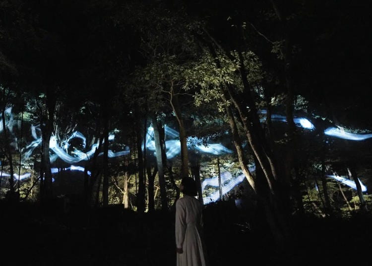 "teamLab Hidden Rice Terraces of the Deep Valley" Ibaraki, Izura (Photo © teamLab)