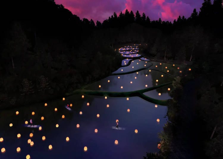 茨城縣五浦「teamLab: 幽谷隱田跡」（圖片來源：© teamLab）
