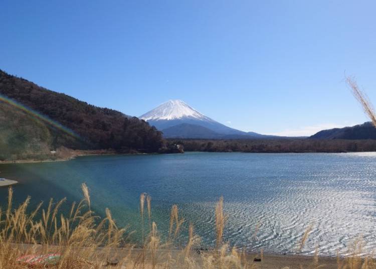 富士山が見える湖！精進湖はこんなところ