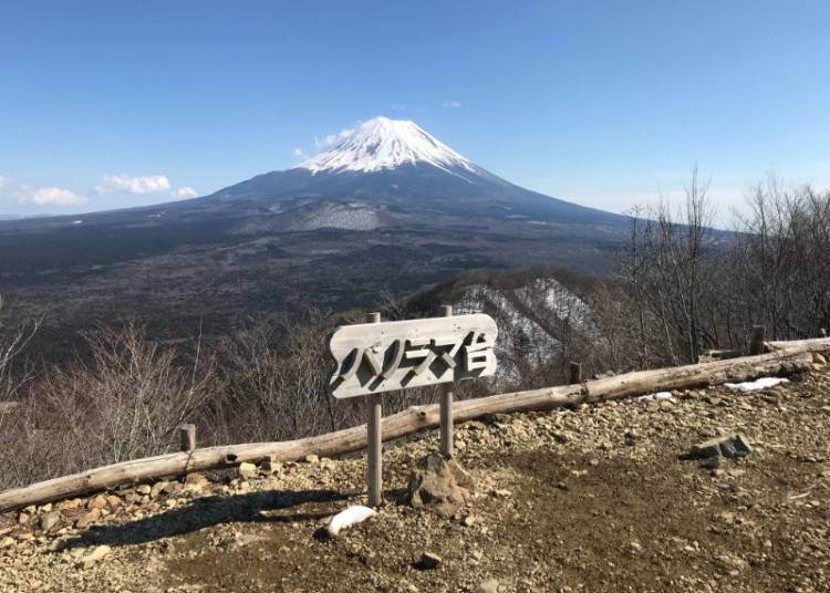 画像提供：精進レークホテル