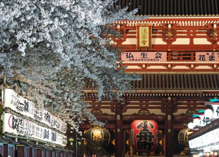 写真引用： 台東区