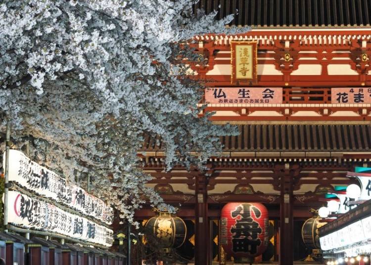 照片來源: 台東區
