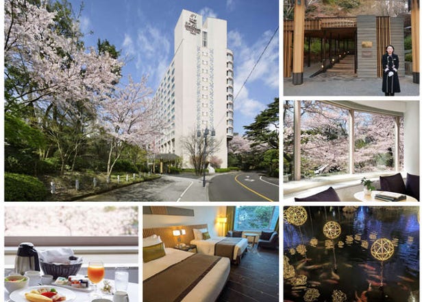 The Prince Sakura Tower Tokyo: Enjoy Stunning Views and a Garden in Full Bloom