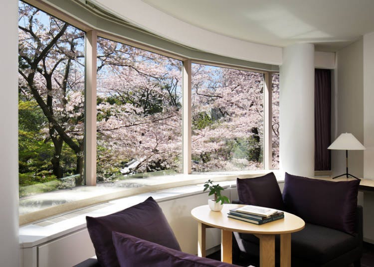 Quiet and Elegant Rooms at The Prince Sakura Tower Tokyo: A Peaceful Escape from the City Hustle