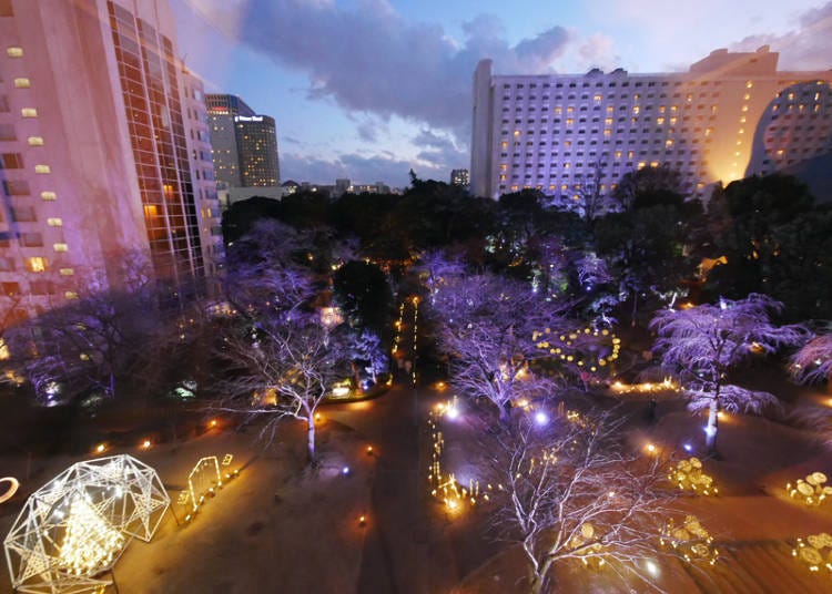 Events to Experience Japanese Culture