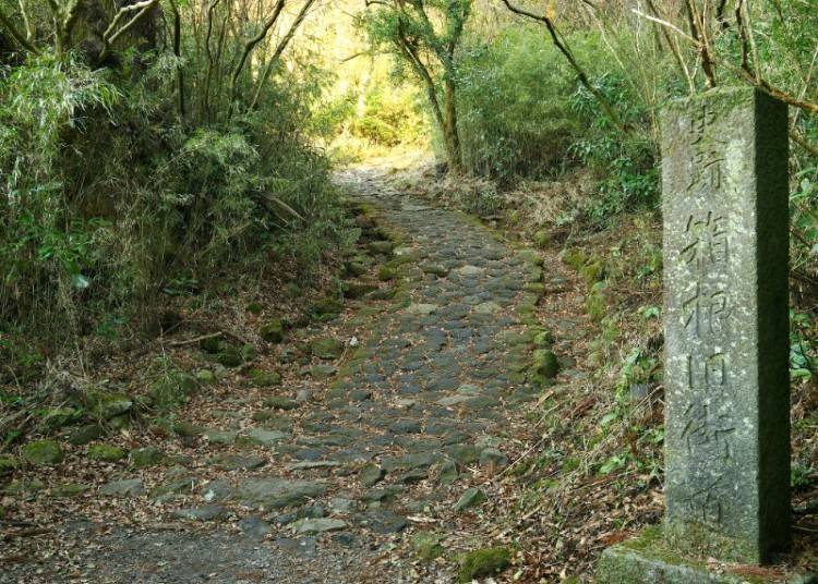 Explore Hakone's Top Attractions, Just 10 Minutes from the Hotel