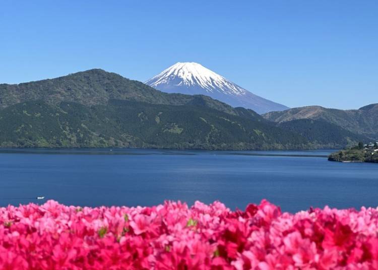 (Photo Courtesy of Onshi Hakone Park)