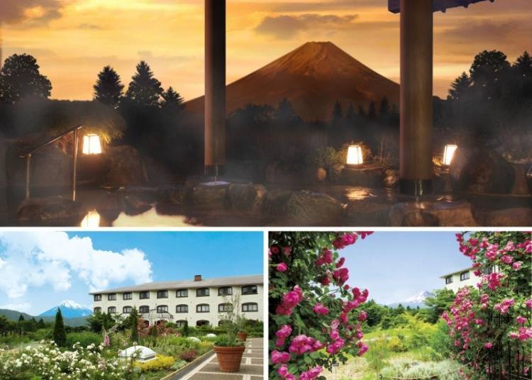 (Photo: Hotel Green Plaza Hakone)