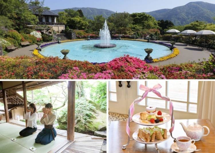 (Photo: Hakone Gora Park, Isshikido Tearoom)