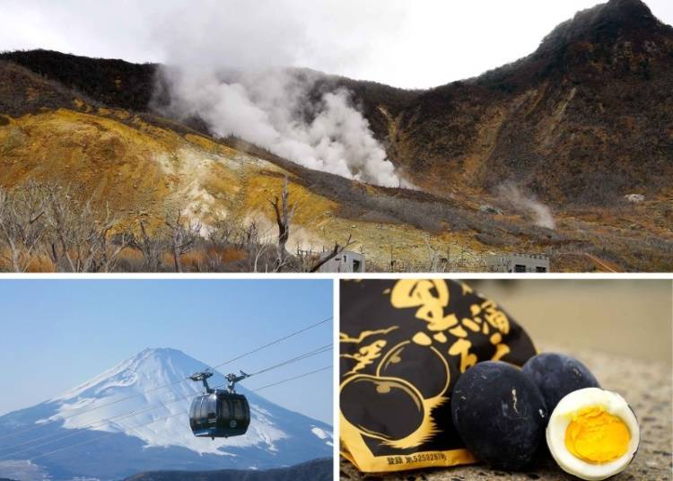 (Photo: Odakyu Hakone)