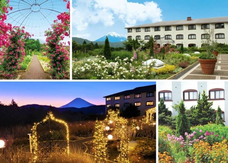 (Photo: Hotel Green Plaza Hakone)