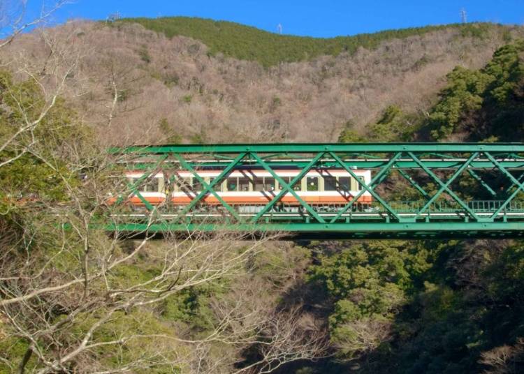 箱根登山電車からの絶景鑑賞