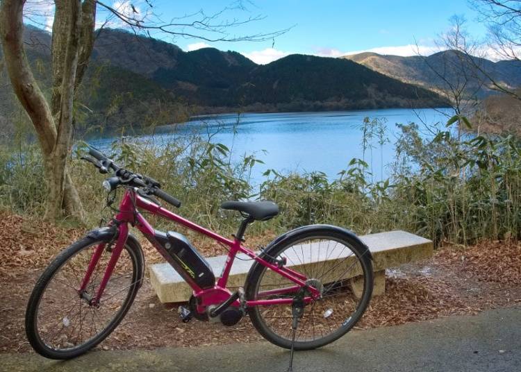 Refresh Your Mind in the Forest by Lake Ashi