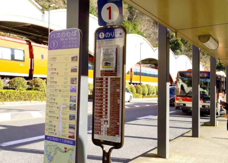 伊豆箱根バスで箱根園へ