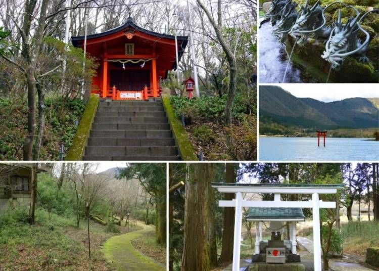 箱根九頭龍の森でパワースポットと自然散策