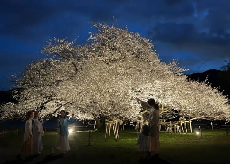 写真提供:ザ・プリンス 箱根芦ノ湖