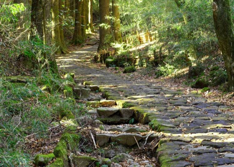 Stroll Along the Historic Cobblestone Path