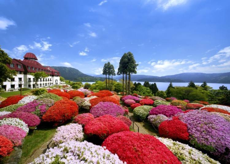(Photo: Odakyu Hotel de Yama)