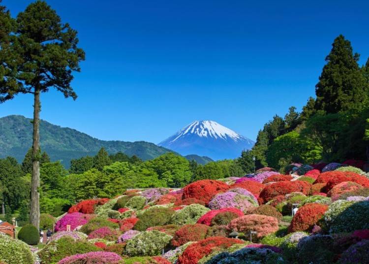 写真提供:小田急 山のホテル
