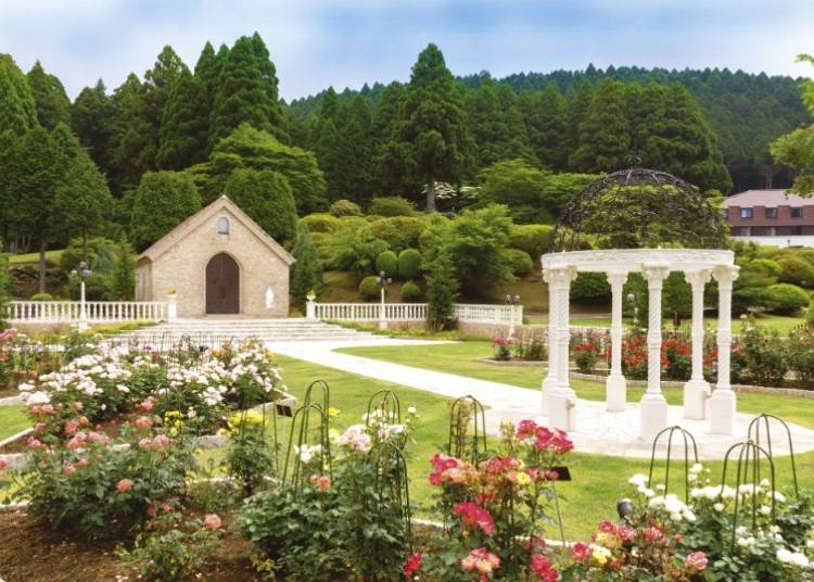 写真提供:小田急 山のホテル