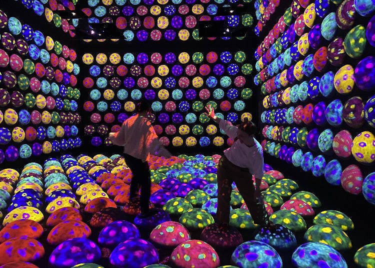 2025年1月22日開幕：新區域開放！「teamLab Planets TOKYO DMM.com」（東京豐洲）