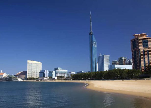 Discover Fukuoka: The Compact, Eco-Conscious City Leading Sustainable Travel