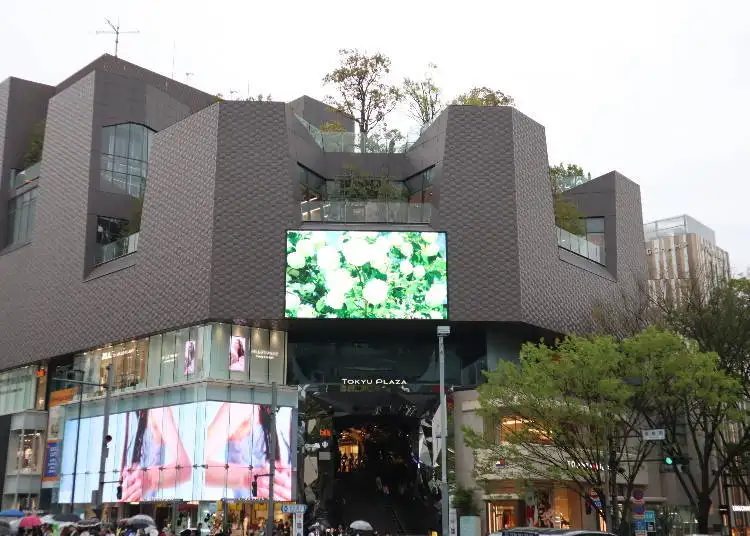 (Photo: LIVE JAPAN article a0005479)
