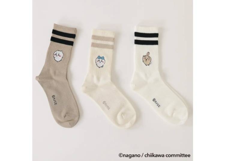 照片取自PR TIMES