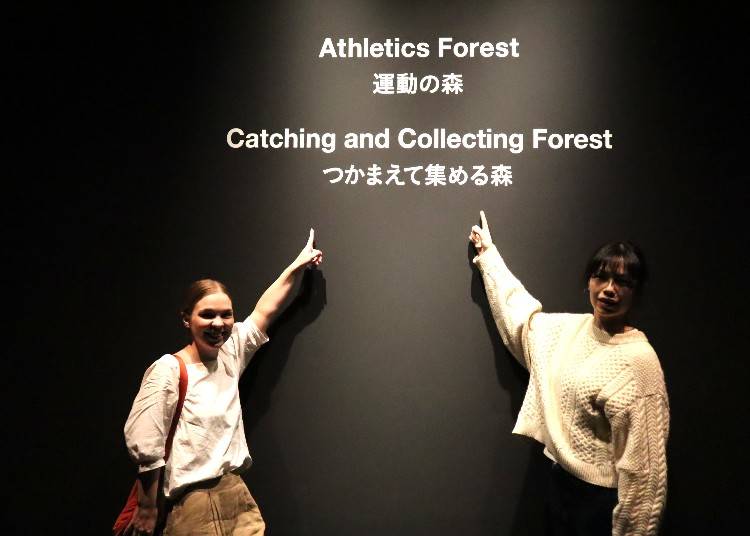 運動の森