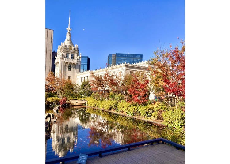 7. The Rooftop Garden