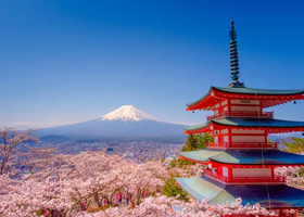 2025 Spring Season in Japan: Festivals, Holidays, Events, and Tips (March-May)