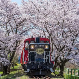 Kyoto Sagano Romantic Train in Arashiyama Bus Tour
▶Click to Book
Image: Klook