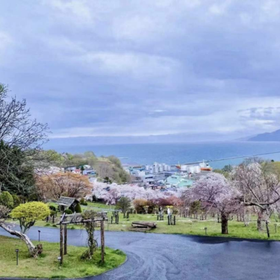 Romantic Cherry Blossom Tour in Otaru, Hokkaido
▶Click to Book
Image: Klook