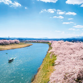 Zao Snow Wall & Cherry Blossom Viewing One Day Tour from Sendai
▶Click to Book
Image: Klook