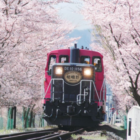 Sagano Train Ride and Guided Day Tour
Details & Bookings ▶
(Photo: Klook)