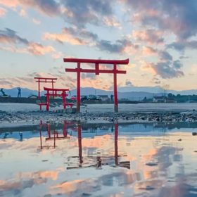 Saga Day Tour & Strawberry Picking 
(Arita Ceramic Park / Yutoku Inari Shrine / Oo Shrine)
Details & Bookings ▶
(Photo: Klook)