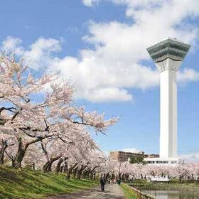 Hokkaido&rsquo;s Best Cherry Blossoms in 3 Days: Matsumae, Goryokaku & Shizunai
Details & Bookings ▶
(Image/Activity provider: KKday)
